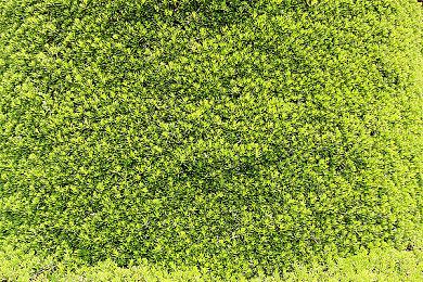 夏日游戏节：独立游戏续作《遵命，陛下：寒冬》公布